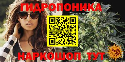 ПСИЛОЦИБИНОВЫЕ ГРИБЫ Балаково