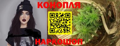 spice Балахна