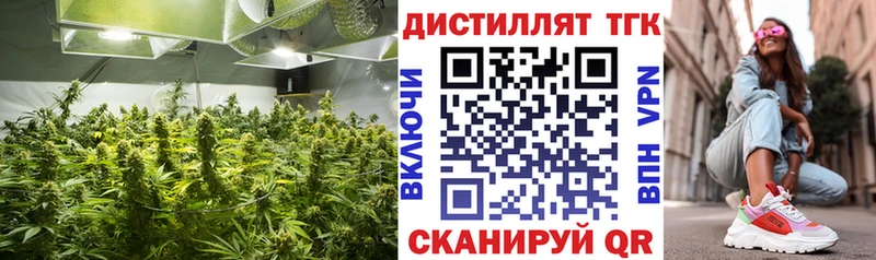 Дистиллят ТГК гашишное масло купить закладку Богородицк