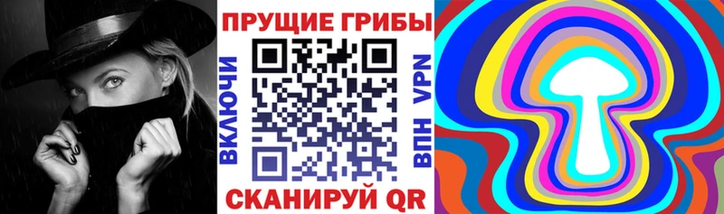 наркошоп  Богородицк  Галлюциногенные грибы Magic Shrooms 