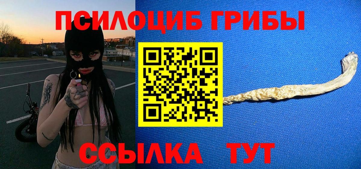 Богородицк  Вход с VPN  Экстази  ГАШ  Канабис  Меф кристаллы  А ПВП СК кристаллы 
