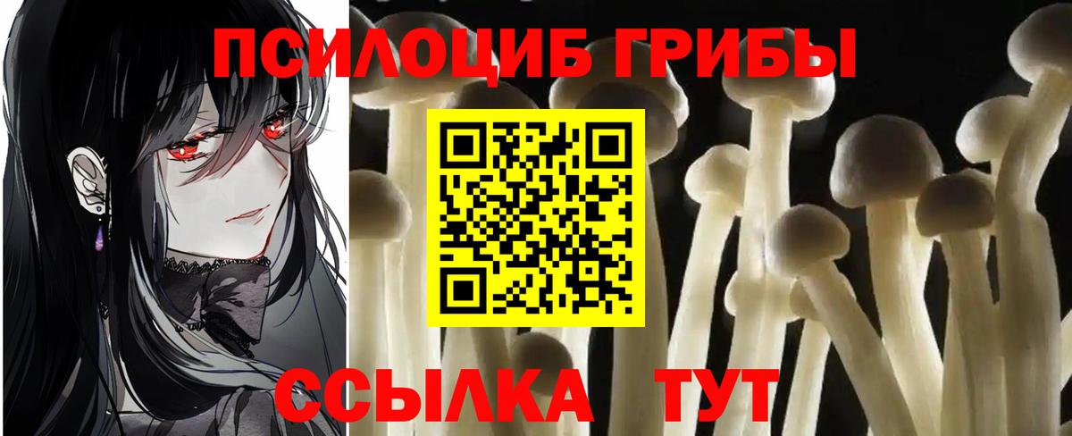Богородицк  Псилоцибиновые грибы мицелий  Вход с VPN 